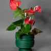 Areaware Strata Planter Green