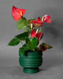 Areaware Strata Planter Green