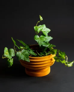 Areaware Strata Planter Yellow