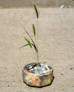 Concrete Cat Pico Bowl