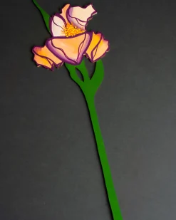 Cosmic Peace Studio Forever Flower Bearded Iris