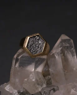 Dmd Metal Gold Shallow Grave Signet