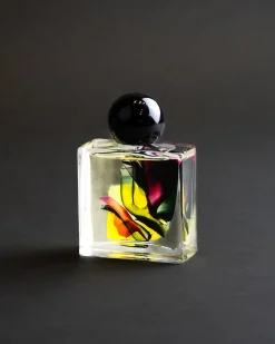 Folie A Plusieurs Black