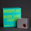 Houseplant Block Table Lighter