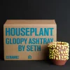 Houseplant Gloopy Ashtray By Seth