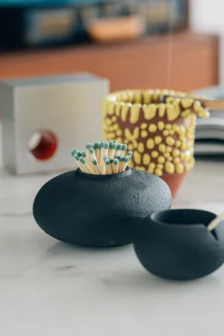Houseplant Pebble Matchstrike