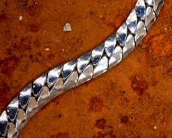 Laura Lombardi Silver Piatta Chain Necklace
