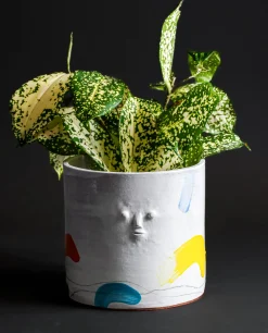 Rami Kim Mini Face Planter