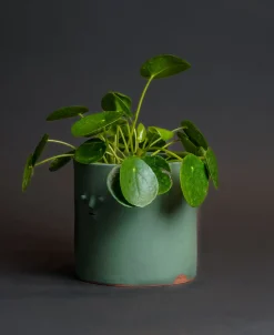 Rami Kim Mini Face Planter With Drainage Hole