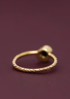 Rokosz X Asrai Garden Sisters Of The Dark Side Of The Moon Ring