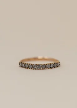 Satomi Kawakita Antique-Y Band