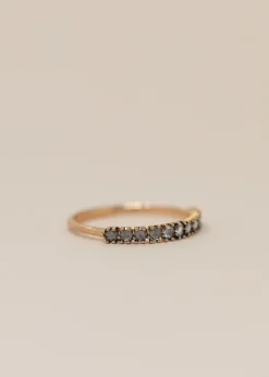 Satomi Kawakita Antique-Y Band