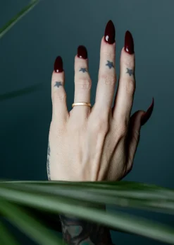 Satomi Kawakita Hammered Band